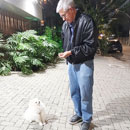 Love Dogs Adestramento Rio