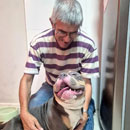 Love Dogs Adestramento Rio.