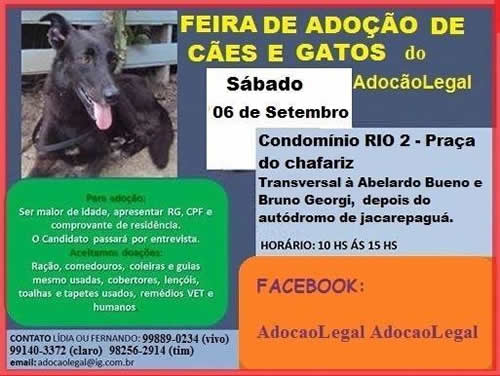 Feira de Adoção de Cães e Gatos - Condomínio Rio 2 - Jacarepaguá - 05/07