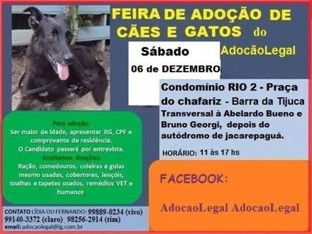 Feira de adoção de Cães e Gatos do Condomínio Rio 2 - Barra - 06/12