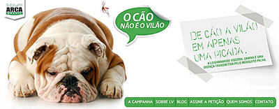 O Cão Não É O Vilão