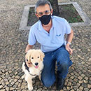 Love Dogs Adestramento Rio