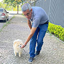 Love Dogs Adestramento Rio