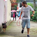 Love Dogs Adestramento Rio