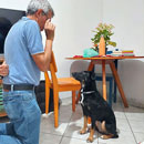 Love Dogs Adestramento Rio