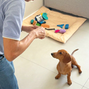 Love Dogs Adestramento Rio