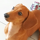 Love Dogs Adestramento Rio.