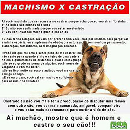 Machão, castre seu cão.