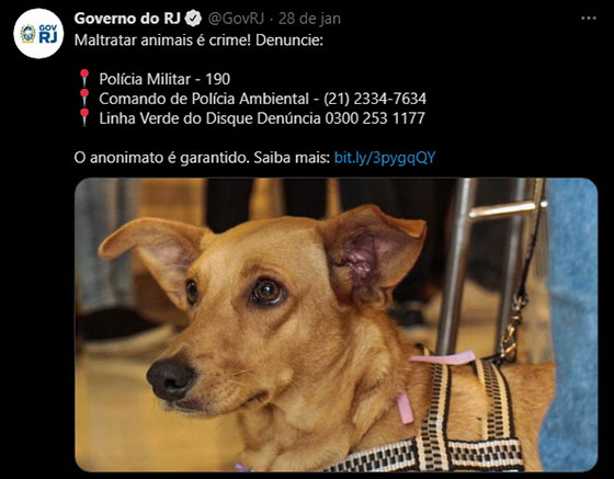 Maltratar Animais é Crime.