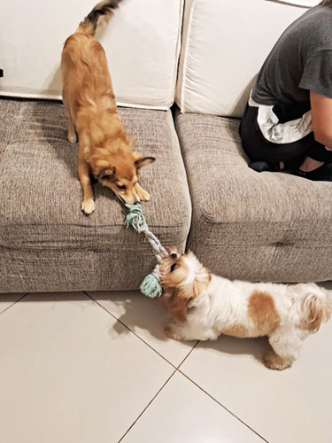 Vera e Thor